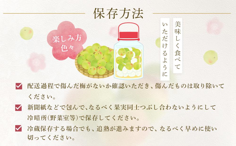 【2026年6月上旬以降発送】紀州南高梅(完熟梅) 10kg〈大粒/3Lサイズ〉