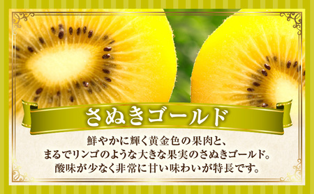 キウイ　鮮やか黄金に輝く　ゴールドキウイ 約900g | 果物 フルーツ さぬきゴールド キウイ キウイフルーツ フレッシュ ジューシー 香り 爽やか 旬の果物 人気 おすすめ 贈答 贈り物 青果物 