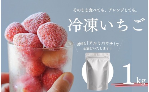 【先行予約 2027年出荷】冷凍 いちご 1kg こだわり いちご フローズン 冷凍 イチゴ strawberry 苺 新鮮 朝摘み 朝採り 産直 産地直送 安心安全 ichigo itigo いちご 苺 果物 フルーツ くだもの ギフト プレゼント 贈物 贈答 ケーキ ジャム ふるさと納税 ふるさと納税苺 いちご 静岡県 南伊豆町 みなみのいちご園 　<AA-1>