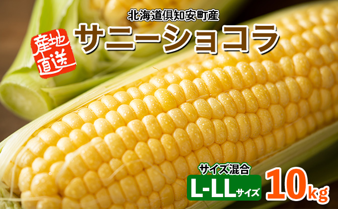 【 2025年 発送 】 先行予約 北海道産 とうもろこし サニーショコラ 計18～20本 10kg前後 L-LL 旬 スイート コーン イエロー トウモロコシ お取り寄せ 産地直送 野菜 とうきび 