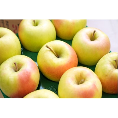 【26年2月より順次発送】平均糖度13度以上! ぐんま名月 約5kg おもてなし用【配送不可地域：沖縄県】【1610343】