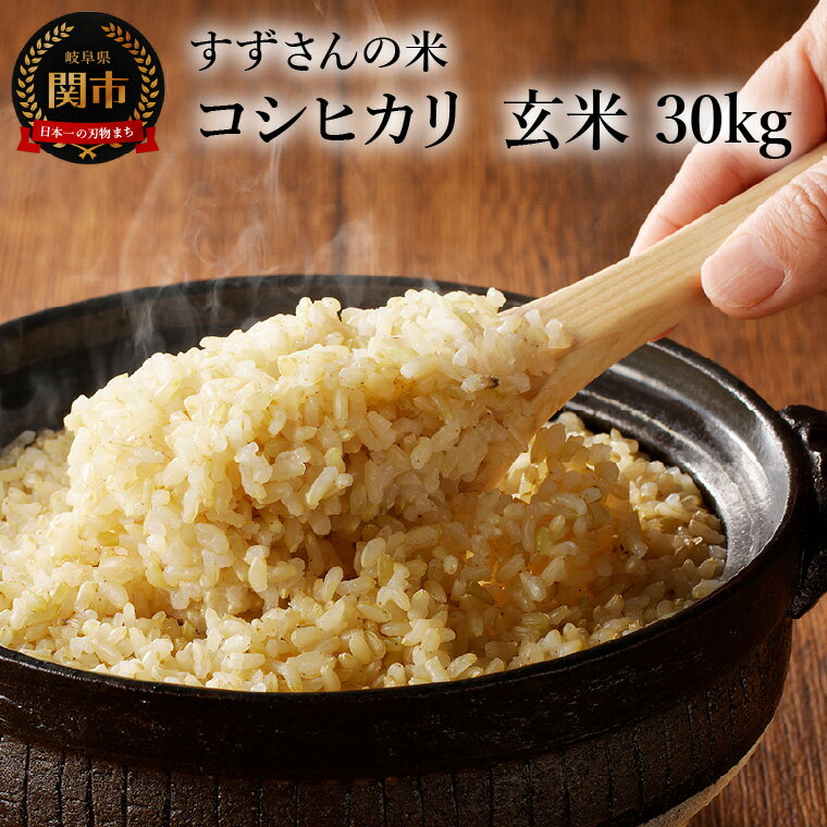 【ふるさと納税】【楽天限定 】令和7年産 安心・安全なすずさんの米：コシヒカリ 玄米 30kg（30kgx1袋・10kgx3袋）