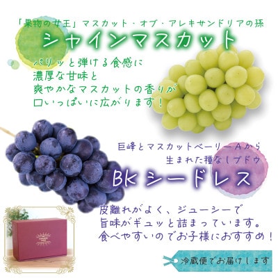 岡山　花笑み農園の『シャインマスカット＆BKシードレス』贈答用　約2kg　BS-2上　9月下旬～発送【配送不可地域：離島・北海道・沖縄県】