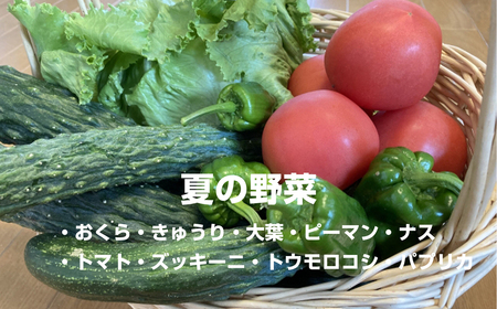 【ふるさと納税】山紫水明のまち 宮若 「ドリームホープ若宮」旬間 野菜セットC 季節 野菜 果物 詰め合わせ 九州 福岡 宮若市 ふるさと納税 おすすめ Ｍ634