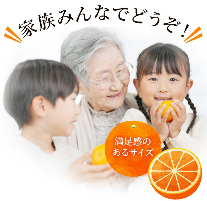 【先行予約】ご家庭用 たにぐち農園の せとか 4.5kg 大小混合【2027年3月から4月上旬までに順次発送予定】【mtn012C】