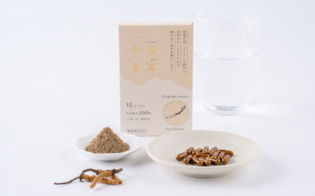 冬虫夏草 粉末 カプセル 1箱 15粒 オリジナルミニブック付き 冬虫夏草 サプリ[AYAX002]