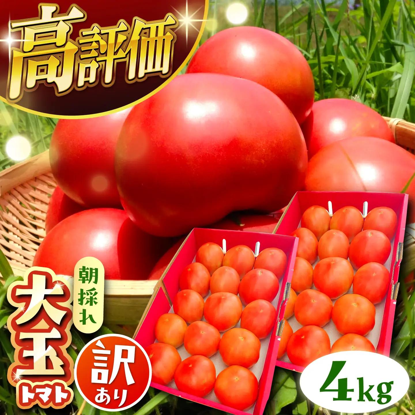 【2週間以内に発送！】 訳あり大玉トマト 4kg / 恵那市 / クリエイティブファーマーズ [AUAH016]