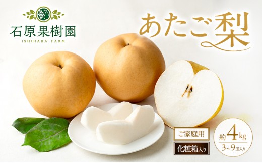 
                  梨 2026年 先行予約 ご家庭用 あたご梨 3～9玉入り約4kg 化粧箱【11月下旬～12月中旬頃発送】 ナシ なし 岡山県産 国産 フルーツ 果物 石原果樹園 
                