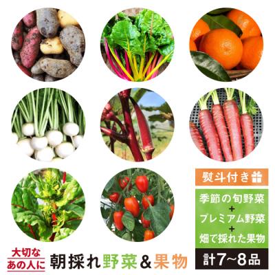 ふるさと納税 糸島市 旬 野菜+プレミアム野菜+果物 セット 熨斗付き オーガニックナガミツファーム[AGE022]