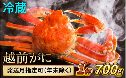 【先行予約】 【1月配送】 越前がに 700ｇ×1杯 小浜市 / まるほ商店 【配送不可地域：北海道・沖縄・離島】[BFCS021-1]