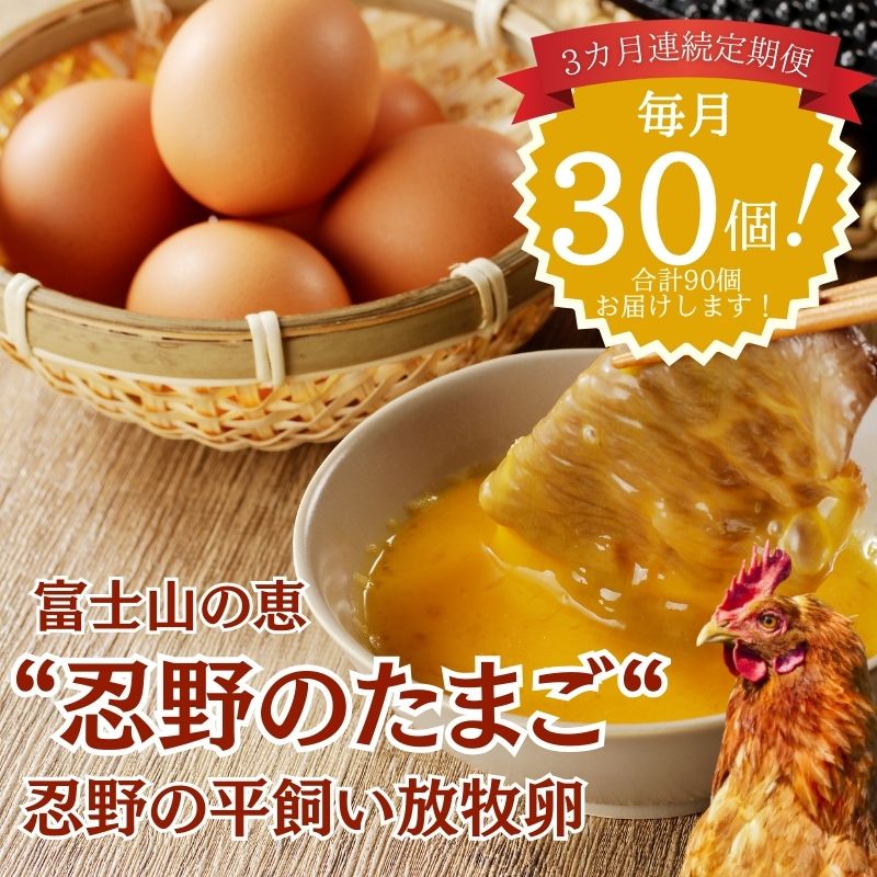 【ふるさと納税】【定期便】忍野の平飼い放牧卵 3か月連続定期便（毎月30個×3か月）90個　|| 山梨県産 たまご 玉子 卵焼き 玉子焼き たまご焼き 生卵 鶏卵 たまごかけ 国産 定期便