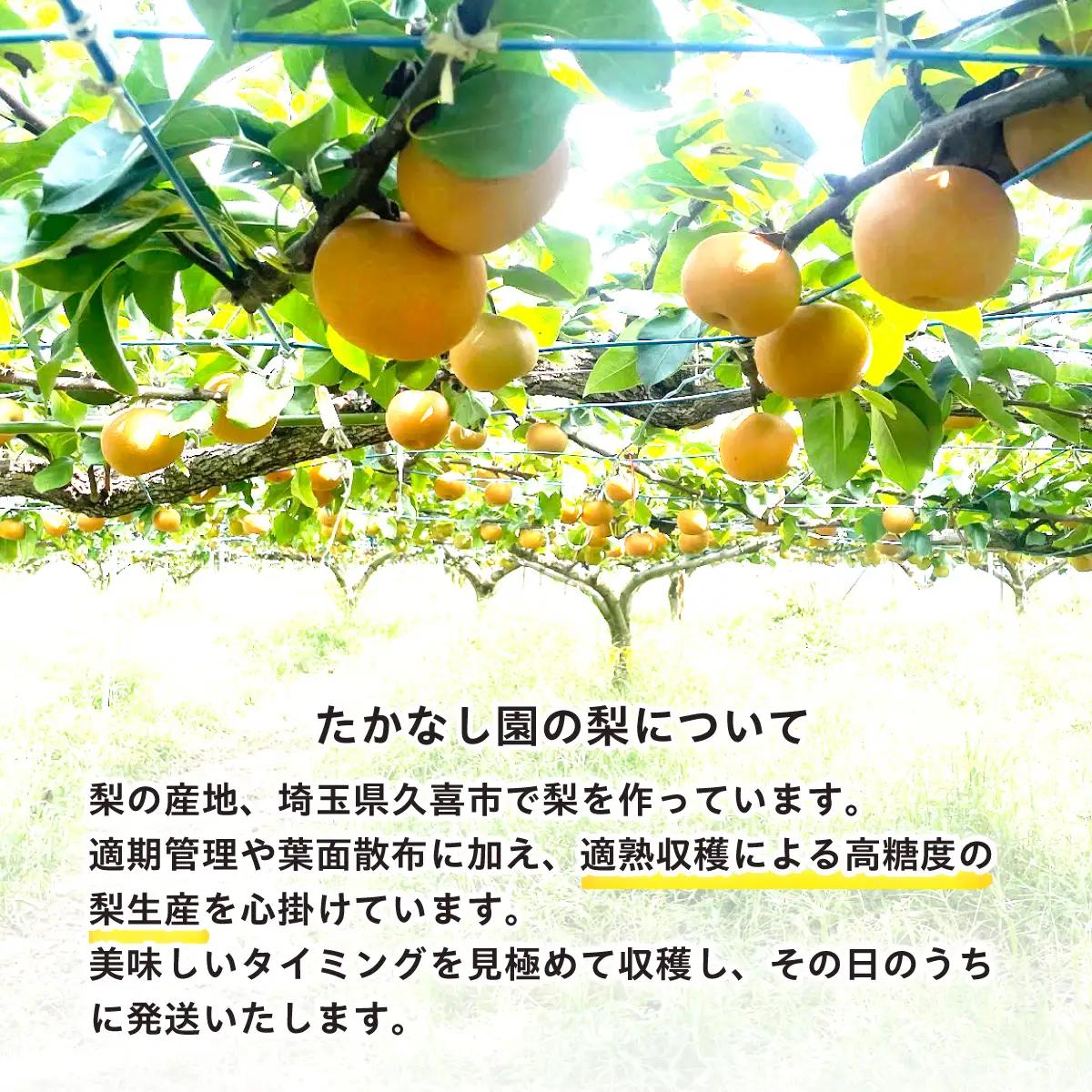 梨 あきづき 約3kg 梨 あきづき