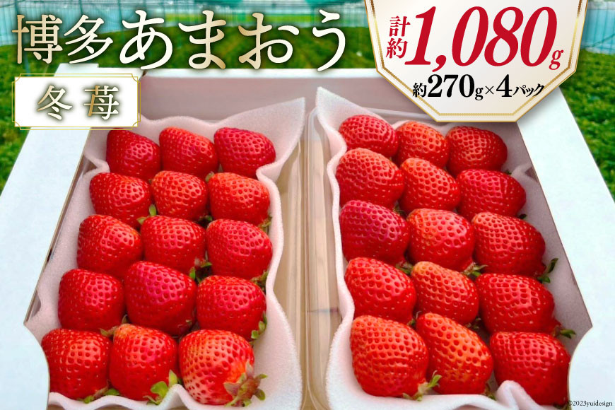 期間限定発送 【 博多あまおう 】 いちご 約270g×4p / エイチアンドフューチャーズ / 福岡県 筑紫野市 [21760472] 果物 フルーツ いちご イチゴ 苺 朝採り 新鮮