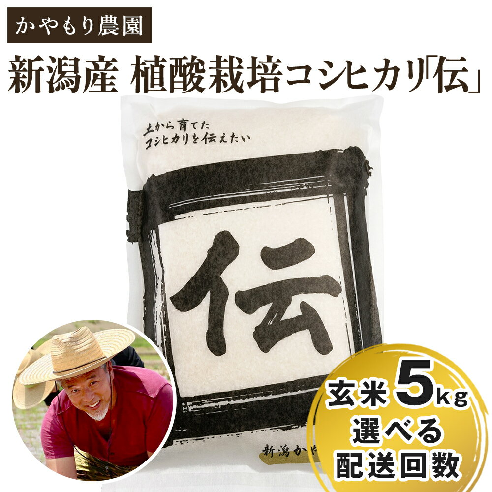 【ふるさと納税】【令和7年産新米】新潟産コシヒカリ「伝」真空パック 玄米5kg 選べる配送回数（通常配送1回〜定期便12回）《9月下旬～順次出荷》 南麻布の高級料亭で提供される極上米 かやもり農園