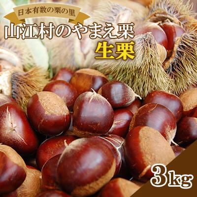 ふるさと納税 山江村 【先行受付】日本有数の栗の里山江村のやまえ栗生栗　3kg