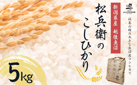 【令和7年産 コシヒカリ 先行予約 】魚沼産 コシヒカリ 精米5kg 山口松兵衛
