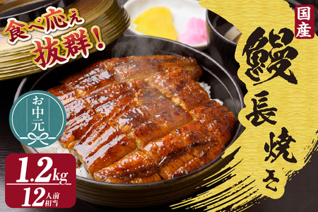 【お中元用】国産特大うなぎ長焼き６尾(約２００ｇ)　合計約１，２００ｇ（2279）