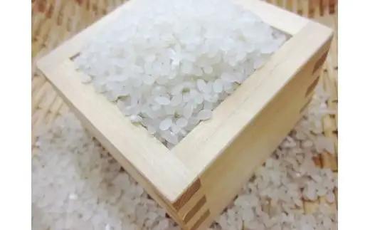 （無洗米６００ｇ）ホクレンななつぼし