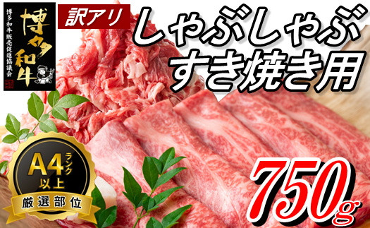 
AB338.【訳あり！】博多和牛しゃぶすき（750g）セット
