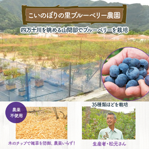 【2026年産／栽培期間中 農薬不使用ブルーベリー使用】ブルーベリージャム（170g×5個）／Qdr-92 ブルーベリー ジャム