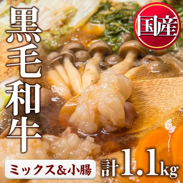 国産 黒毛和牛 ミックスホルモン 上ホルモン 合計1.1kg 牛肉 【LRプラスK】No.1001-04