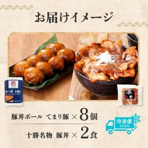 十勝 豚丼＆豚丼ボール(各1パック)焼くだけ 食べきりサイズ 秘伝のタレ付き 北海道 帯広市【配送不可地域：離島】【1555422】