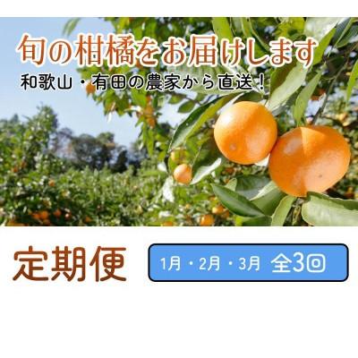 ふるさと納税 広川町 【発送月固定定期便】厳選 柑橘定期便S(1〜3月)全3回 |  | 01