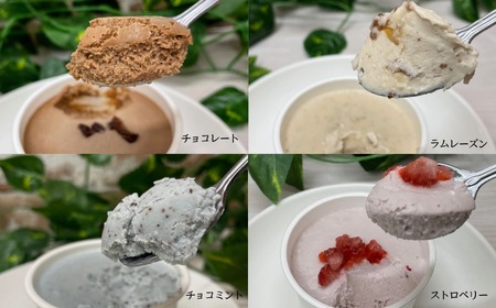まるでアイスのようなロースイーツ 4種セット チョコレート ラムレーズン チョコミント ストロベリー ロースイーツ 冷凍 アイスクリーム 記念日 お祝い クリスマス ナチュラル ヘルシー ヴィーガン 