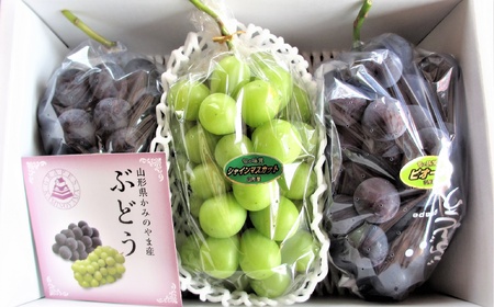ピオーネとシャインマスカットの詰合せ　２～３房　0010-2601