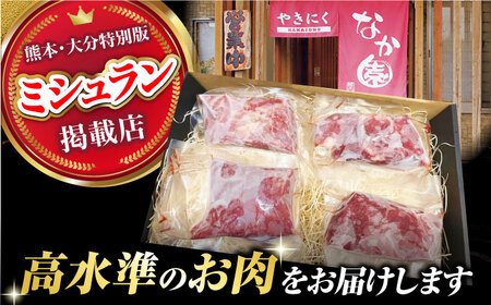 【6回定期便】熊本 馬刺し「なか園」赤身馬刺し 約400ｇ【有限会社スイートサプライなかぞの】[ZBV075]