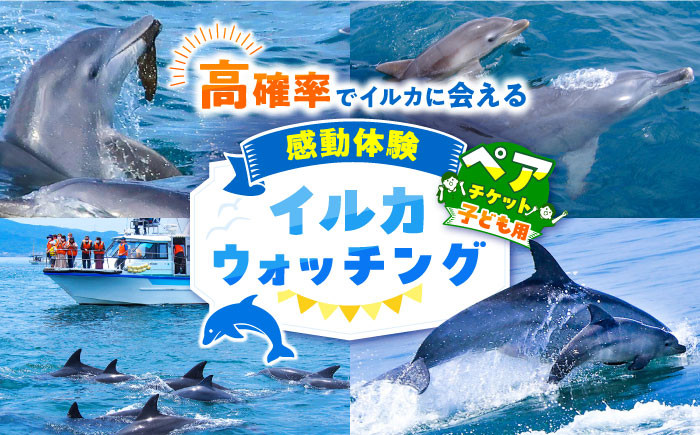 
            南島原 イルカウォッチング  子ども用 ペアチケット / チケット ちけっと 体験型 観光チケット いるか イルカ イルカ体験 貸し切り いるか イルカ / 南島原市 / 南島原イルカウォッチング [SAE004]
          