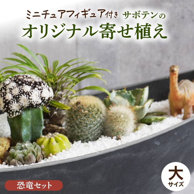 サボテンのオリジナル寄せ植え（大）【恐竜セット】［133O04-01］