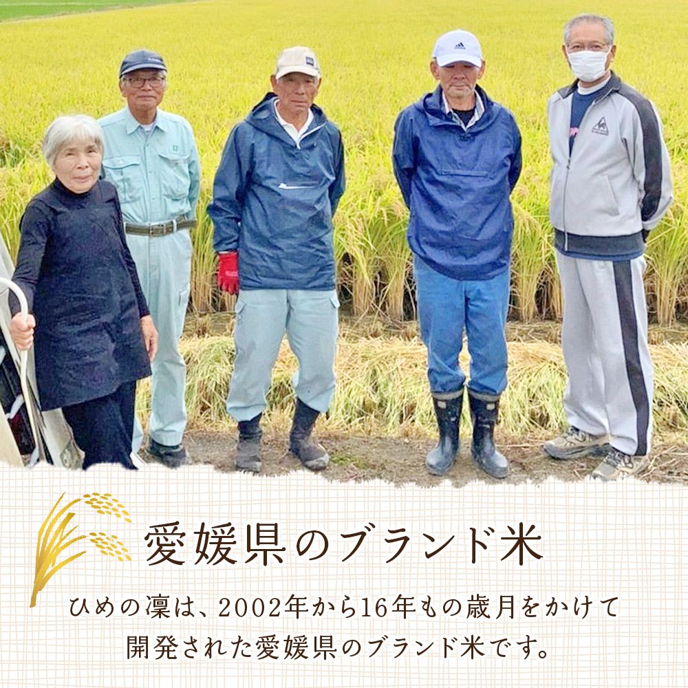 ＜愛媛県推進米 ひめの凜 約10kg＞ お米 コメ こめ 白米 精米 ご飯 ライス 穀物 ひめのりん ヒメノリン ブランド米 大粒 ツヤツヤ 特産品 愛媛県産 西予市産 宇和町産 三好フク 愛媛県 西