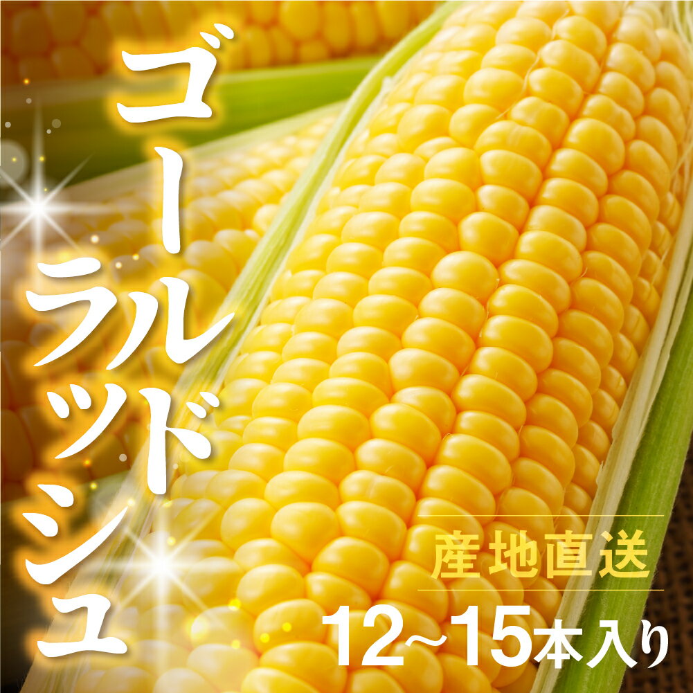 【ふるさと納税】≪先行予約≫ 令和8年産（2026年収穫） とうもろこし ゴールドラッシュ 5kg 高糖度 12本 ~ 15本朝採り 人気 甘い 簡単調理 まるで フルーツ 愛知県 豊橋市 13000円 夏野菜