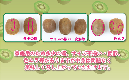 キウイ フルーツ 5kg 吉田農園 家庭用 グリーンキウイ ヘイワード キウイフルーツ デザート スイーツ 果物 農家直送 産地直送 数量限定 国産 愛媛 宇和島 F014-160001