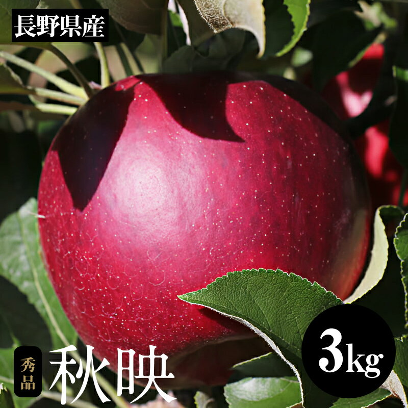 【ふるさと納税】芳醇な香り長野県産・深紅色りんご(秋映) 約3kg 秀品〈2025年9月下旬～10月中旬発送〉| 果物 くだもの フルーツ りんご リンゴ 林檎 長野県 信州 南信州 飯田市 B20