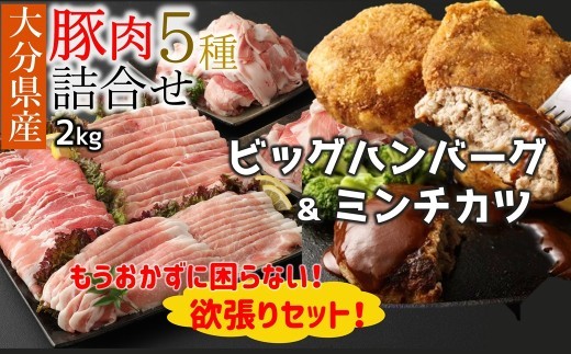 
                  おかずに困りごとなし♪ 大分県産 豚詰合せ５種類（約2kg）＆ビッグハンバーグ（5個）＆ミンチカツ（10個）セット〔合計約3.9㎏〕
                