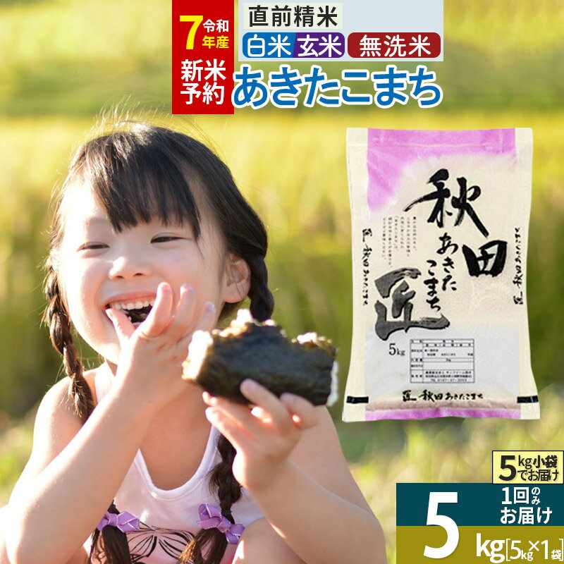 【ふるさと納税】【白米／玄米／無洗米】※R7新米予約※ 秋田県産 あきたこまち 5kg (5kg×1袋) 令和7年産 5キロ お米 新米