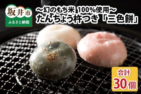 【先行予約】 たんちょう杵つき「三色餅」5個 × 6パック 計30個 ～幻のもち米100％使用～ 【2024年11月下旬以降順次発送予定】【つきたて モチモチ 添加物・保存料不使用 お雑煮 ぜんざい 