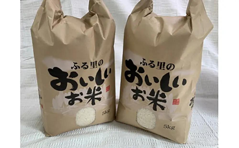 令和7年産 近江米 秋の詩 10kg ( 5kg × 2袋 ) 環境こだわり米 【AB60W】 白米