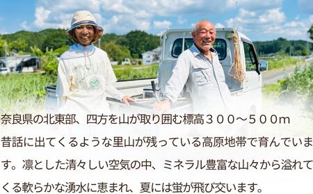 【定期便6回】天真爛漫 奥大和高原米 ＜令和7年産 玄米 3kg＞ ／ ふるさと納税 無農薬 米 お米 こめ コメ 国産 新米 玄米 一等米 農家やまおか 有機肥料使用 農薬不使用 除草剤不使用 奈良