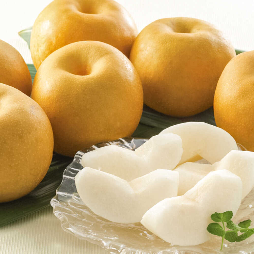 【ふるさと納税】【期間限定】 旬の日田梨お届け便 約10kg(幸水、豊水、秋月、新高、新興)　日田市 / 南国フルーツ株式会社 なし 梨 日田 和梨 果物 くだもの 果汁 フルーツ デザート 旬 梨[ARET009]