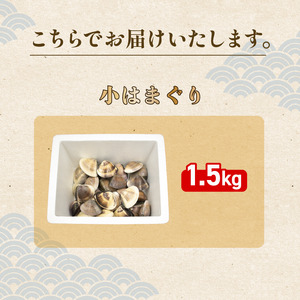 活はまぐり約1.5kg (40-60gサイズ)_蛤 ハマグリ 海鮮 貝 出汁 だし