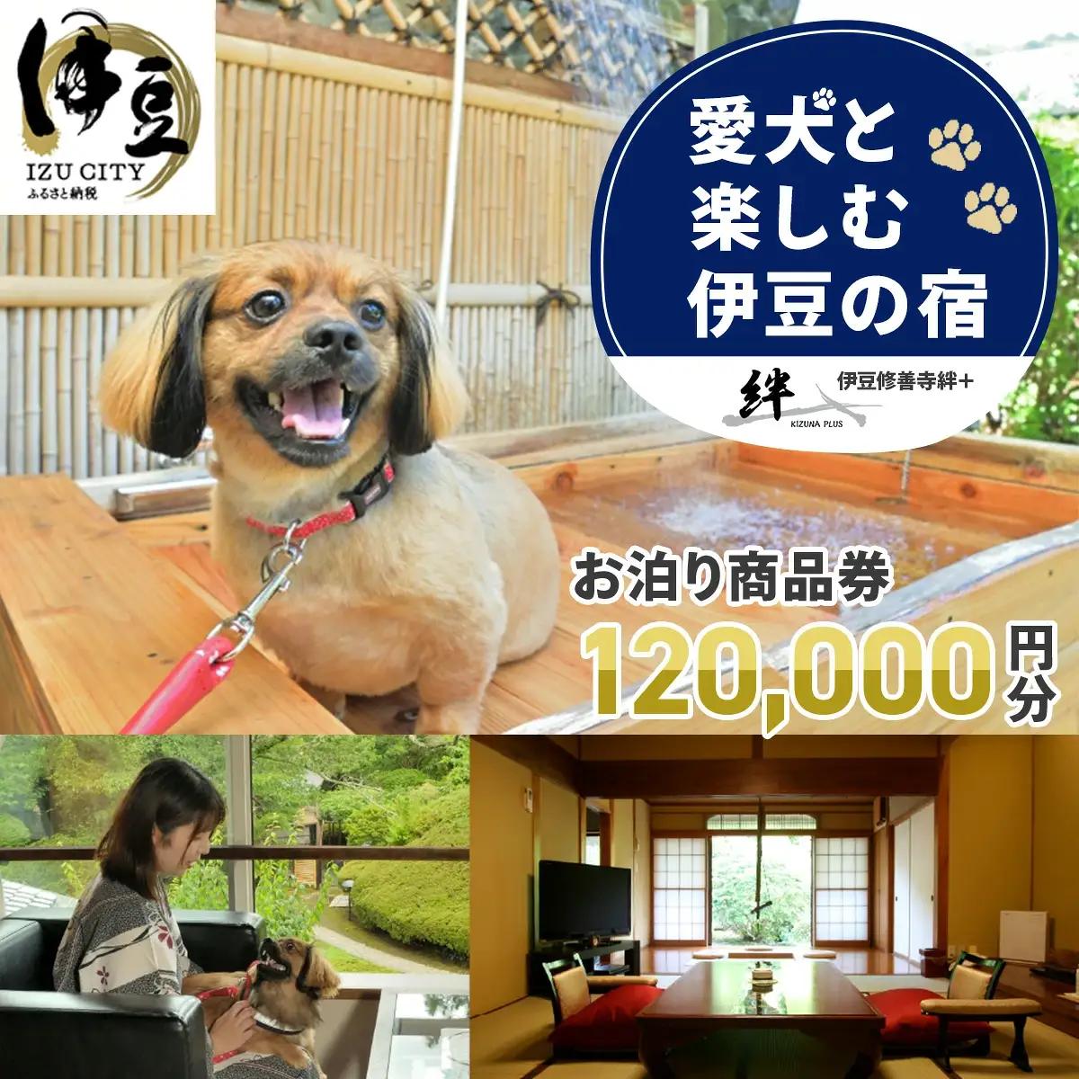 【本格会席と源泉の湯　修善寺絆+】 宿泊補助券 120,000円分 宿泊 観光