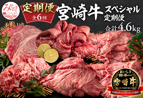 定期便 6ヶ月 お楽しみ 宮崎牛 スペシャル6種セット 計4.6kg |牛肉 牛 肉 肩ロース スライス ステーキ 切落し ウデ モモ