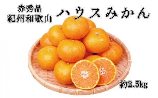 赤秀品　紀州和歌山ハウスみかん2.5kg【予約】※2025年6月下旬頃〜2025年7月中旬頃に順次発送予定(お届け日指定不可) / みかん 蜜柑 フルーツ 果物 くだもの 【uot735】