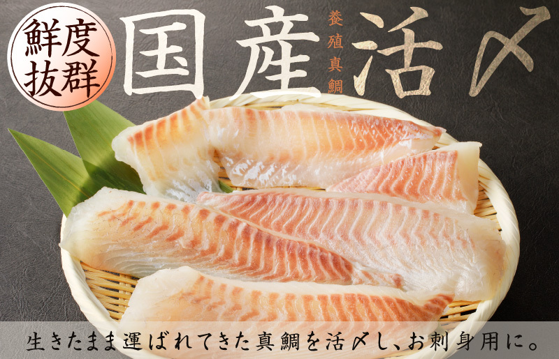 国産活〆 養殖 真鯛 お刺身用 450g 便利な小分け 3パック 特別寄附金額 G1113