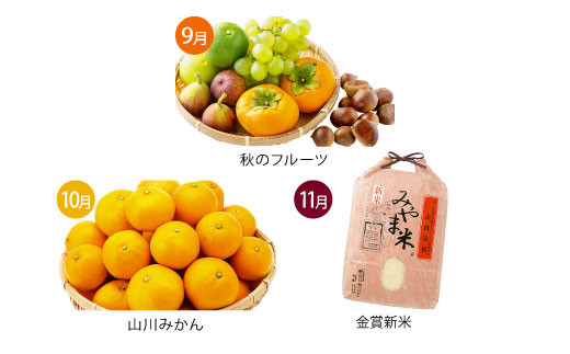 C3 【3回定期便】季節の逸品 秋 定期 旬 フルーツ 果実 くだもの 果物 新米 特産品_イメージ2
