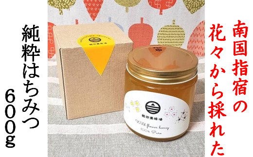 南国指宿の花々から採れた純粋 はちみつ 600g(鶴田養蜂場/IB047-001) はちみつ 蜂蜜 ハチミツ 蜂みつ 蜂ミツ はち蜜 ハチ蜜 はちみつ 蜂蜜 ハチミツ