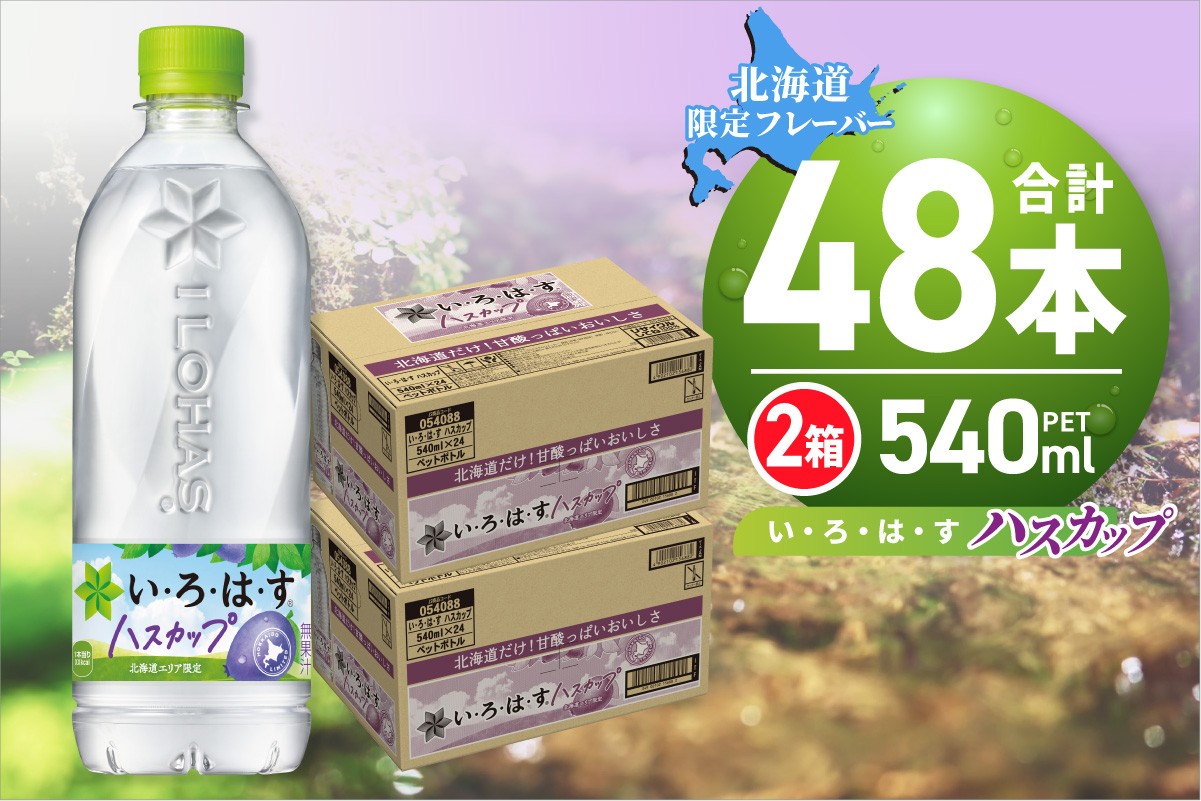 
            い・ろ・は・す ハスカップ　540mlPET×48本 いろはす 北海道限定 フレーバー ミネラルウォーター 飲料水 ローカロリー ペットボトル 計48本 水 飲料 札幌工場製造 札幌市
          